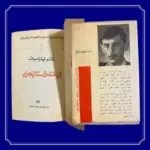 في خنادق ستالينجراد - فيكتور نيكراسوف